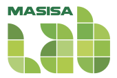 Logo © MASISA Lab