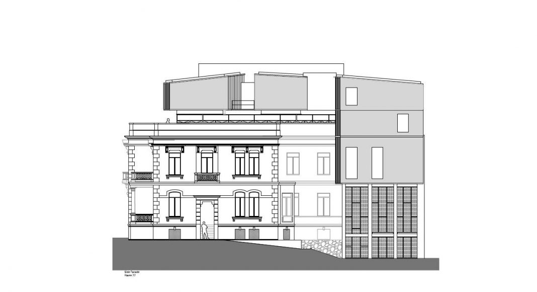 Havre 77 Fachada hacia el Patio por el estudio Francisco Pardo Arquitecto : Dibujo © Francisco Pardo Arquitecto