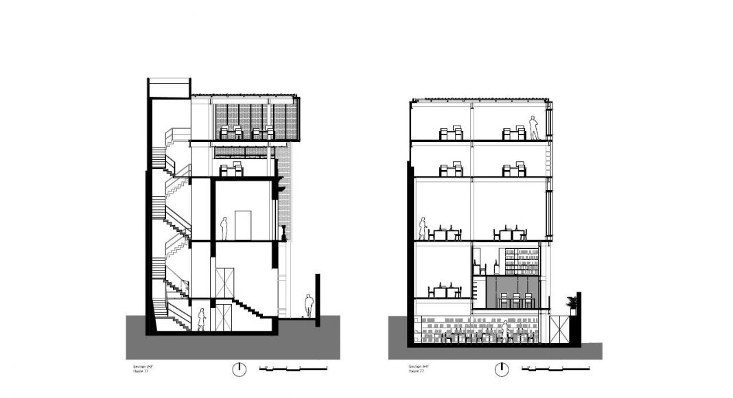 Havre 77 Cortes Transversales por el estudio Francisco Pardo Arquitecto : Dibujo © Francisco Pardo Arquitecto