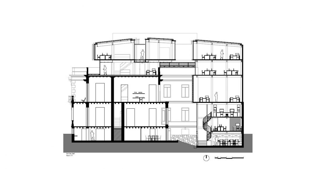 Havre 77 Corte Longitudinal por el estudio Francisco Pardo Arquitecto : Dibujo © Francisco Pardo Arquitecto