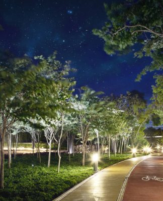 Andador y Cliclovía de la Ciudad Mayakoba : Render © Ciudad Mayakoba