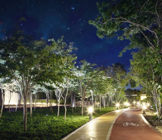 Ciudad Mayakoba: calidad de vida en la Riviera Maya Andador y Cliclovía de la Ciudad Mayakoba : Render © Ciudad Mayakoba