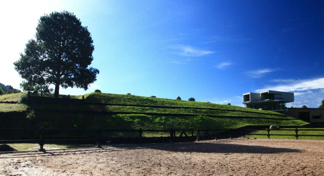 Rancho del Árbol diseñado por Código Z Arquitectos : Fotografía © Sófocles Hernández