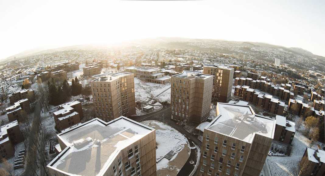 Trondheim, NO Moholt 50I50 - Timber Towers : Photo © Thomas Bekkavik