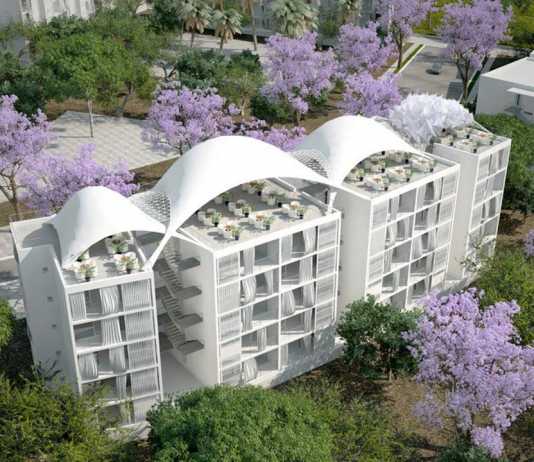 Colline aux Oliviers Social Housing Re-envisioning an olive grove domain into an habitable park : Photo credit © Abderhrrahman Ezzine