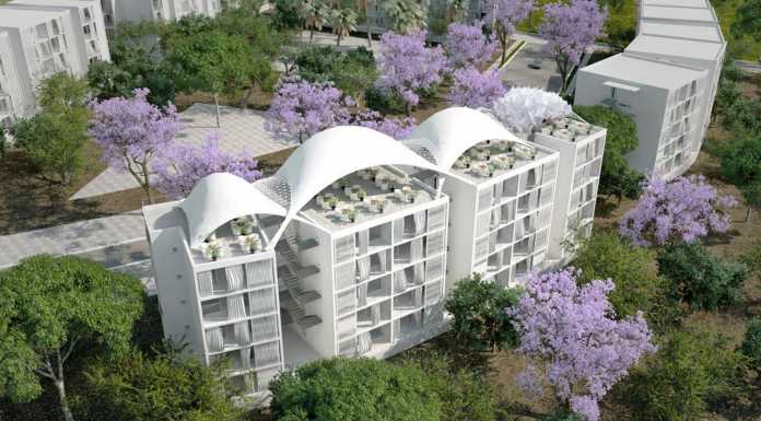 Colline aux Oliviers Social Housing Re-envisioning an olive grove domain into an habitable park : Photo credit © Abderhrrahman Ezzine