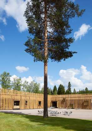 The façade timber has been cut in the forest surrounding the building : Photo credit © Åke E:son Lindman