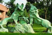 Diplomado en Diseño y Construcción Sustentables : Fotografía © Arq IBERO