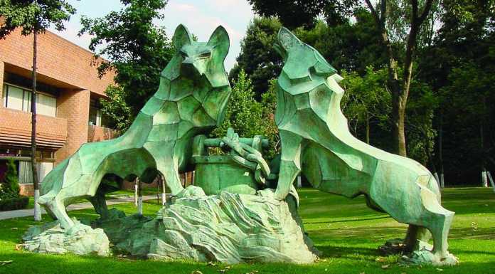 Diplomado en Diseño y Construcción Sustentables : Fotografía © Arq IBERO