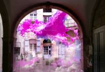 Forme sauvage : Photo credit © Lilit Sarkisian