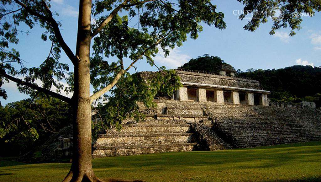 Zona arqueológica Palenque, Chiapas : Foto © Mauricio Marat, INAH