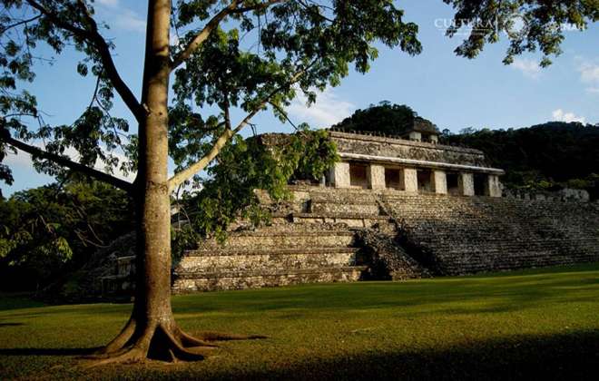 Zona arqueológica Palenque, Chiapas : Foto © Mauricio Marat, INAH