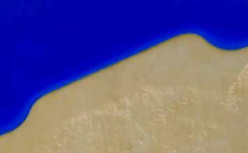 Morpho’s Nest in the Cadmium House y el artista Lluis Lleó : Photo credit © Ramon Masip