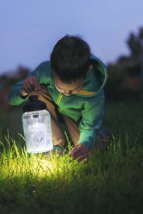 5 reglas básicas de seguridad eléctrica para niños : Fotografía © Schneider Electric México