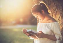 Mexicanos invertirán 522 pesos en la compra de libros para el Día Mundial del Libro : Fotografía © Tiendeo México