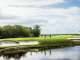 American Express Mayakoba Masters of Food, Wine & Golf : Photo © Mayakoba Resorts