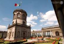 El Museo Nacional de Historia, Castillo de Chapultepec, ofrecerá a sus visitantes la plática-recorrido Los ahuehuetes de Chapultepec : Foto © Omar Dumaine, MNH