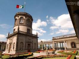 El Museo Nacional de Historia, Castillo de Chapultepec, ofrecerá a sus visitantes la plática-recorrido Los ahuehuetes de Chapultepec : Foto © Omar Dumaine, MNH