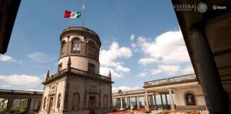 El Museo Nacional de Historia, Castillo de Chapultepec, ofrecerá a sus visitantes la plática-recorrido Los ahuehuetes de Chapultepec : Foto © Omar Dumaine, MNH