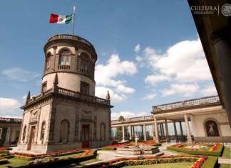 El Museo Nacional de Historia, Castillo de Chapultepec, ofrecerá a sus visitantes la plática-recorrido Los ahuehuetes de Chapultepec : Foto © Omar Dumaine, MNH