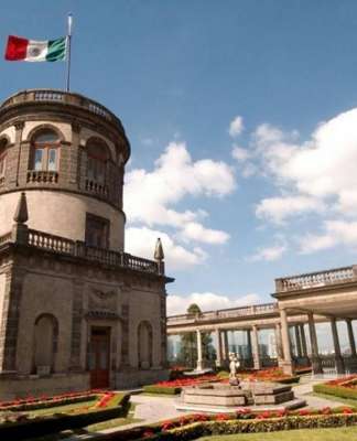 El Museo Nacional de Historia, Castillo de Chapultepec, ofrecerá a sus visitantes la plática-recorrido Los ahuehuetes de Chapultepec : Foto © Omar Dumaine, MNH