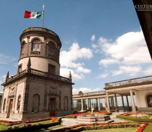 El Museo Nacional de Historia, Castillo de Chapultepec, ofrecerá a sus visitantes la plática-recorrido Los ahuehuetes de Chapultepec : Foto © Omar Dumaine, MNH