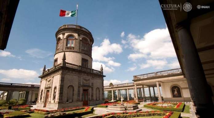 El Museo Nacional de Historia, Castillo de Chapultepec, ofrecerá a sus visitantes la plática-recorrido Los ahuehuetes de Chapultepec : Foto © Omar Dumaine, MNH