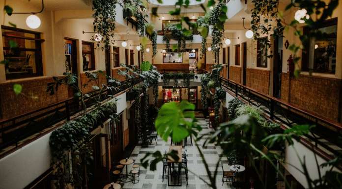 Barrio Alameda cumple 2 años de transformar la Alameda Central Barrio Alameda un espacio cultural en la Alameda Central : Foto © Barrio Alameda