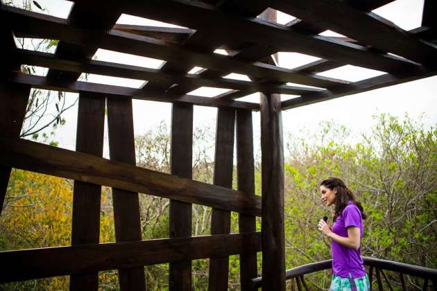 Bird Watching Camp Mayakoba Resort : Fotografía © Mayakoba Resort