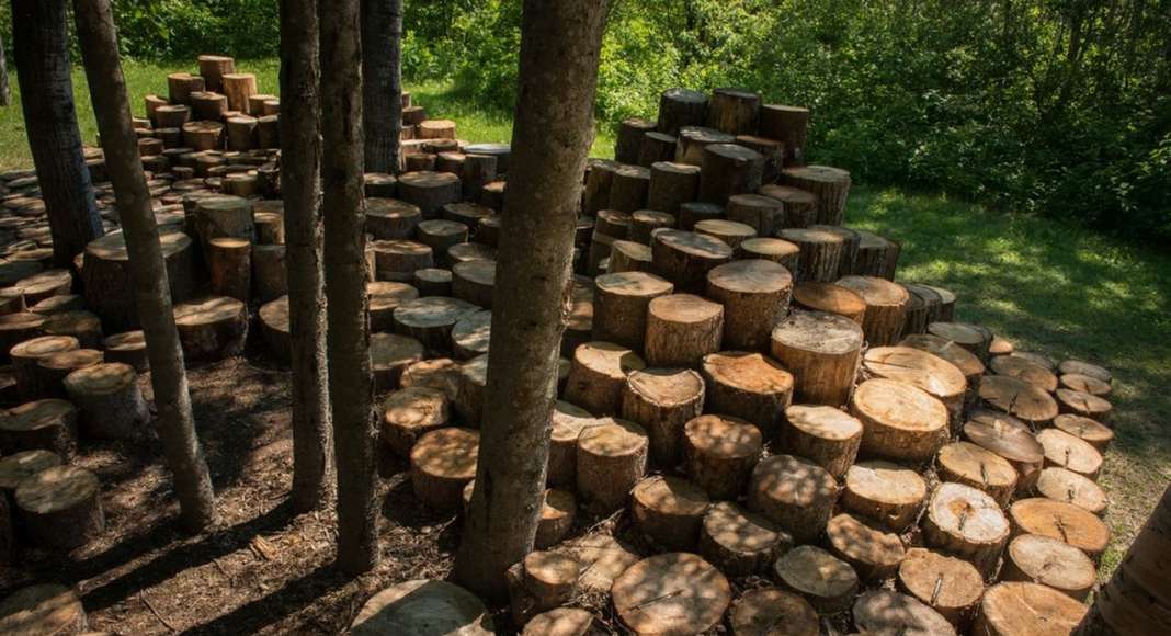 The Woodstock by Atelier YokYok [Steven Fuhrman, Samson Lacoste & Luc Pinsard, architects, Laure K, teacher & Pauline Lazareff, architect engineer], Paris (France). An unusual playground grows in the shade of trees and forms a play space where the children become giants, perched at the top of the wooden causeway. www.atelieryokyok.com : Photo credit © Martin Bond