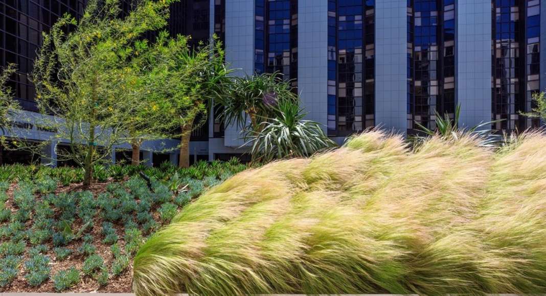 AHBE Landscape Architects Unveils Healing Gardens for Cedars-Sinai Medical Center : Photo credit © @heliphoto.net