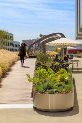 AHBE Landscape Architects Unveils Healing Gardens for Cedars-Sinai Medical Center : Photo credit © @heliphoto.net