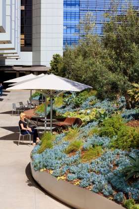 AHBE Landscape Architects Unveils Healing Gardens for Cedars-Sinai Medical Center : Photo credit © @heliphoto.net