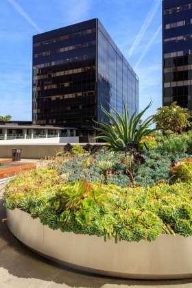 AHBE Landscape Architects Unveils Healing Gardens for Cedars-Sinai Medical Center : Photo credit © @heliphoto.net