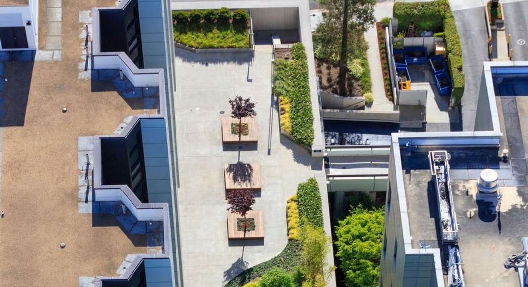 AHBE Landscape Architects Unveils Healing Gardens for Cedars-Sinai Medical Center : Photo credit © @heliphoto.net