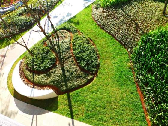 Native under-canopy plants form the lower layers of the forest : Photo credit courtesy of © Balmori Associates