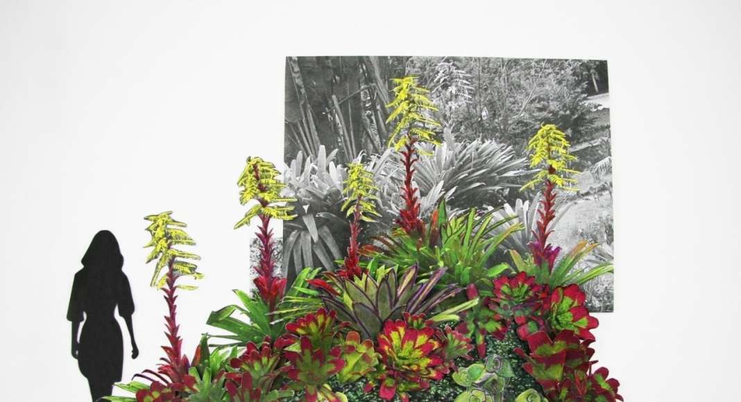 3D collage planting study for the topographic gardens : Photo credit courtesy of © Balmori Associates