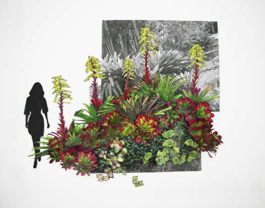 3D collage planting study for the topographic gardens : Photo credit courtesy of © Balmori Associates